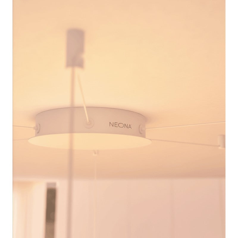 6-Light Adjustable Glass Pendant Light