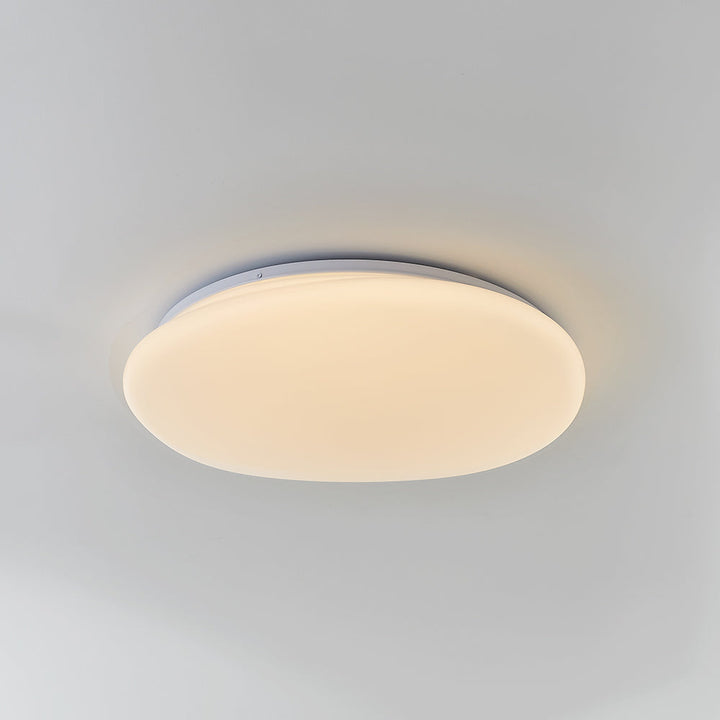 Flush Mount Ceiling Lamp Pebble Shaped Diffuser Shade
