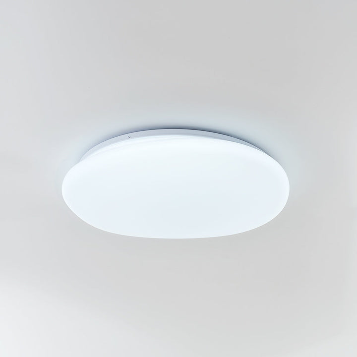 Flush Mount Ceiling Lamp Pebble Shaped Diffuser Shade