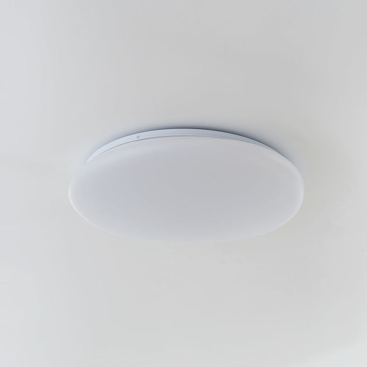 Flush Mount Ceiling Lamp Pebble Shaped Diffuser Shade
