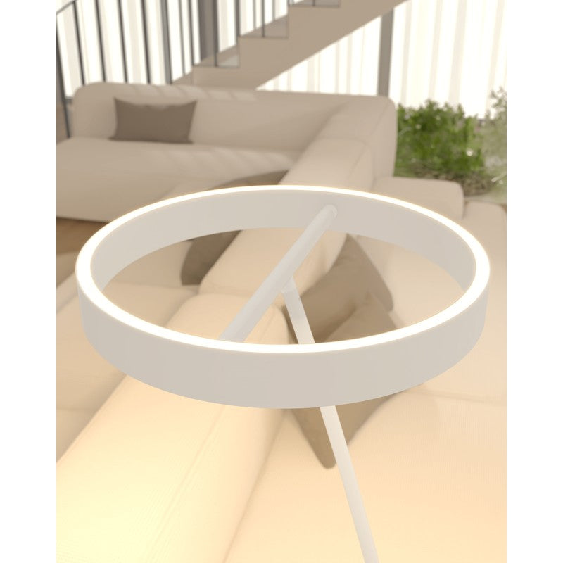 Floor Lamp - Circular LED Light Ring with Dimmable Functionality