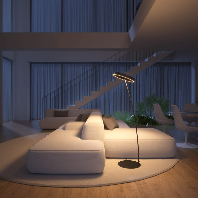 Floor Lamp - Circular LED Light Ring with Dimmable Functionality