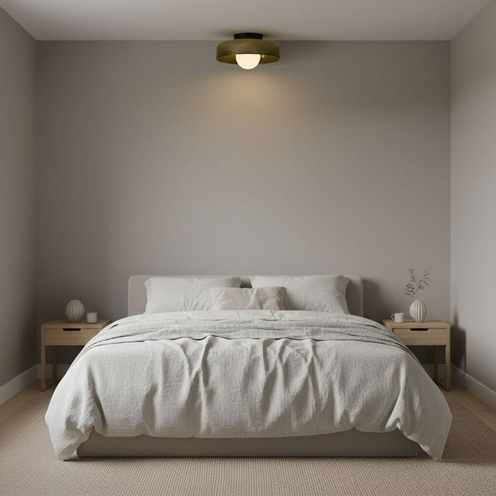 Flush-Mount Ceiling Lamp - Disc-Shaped Shade with Globe Bulb