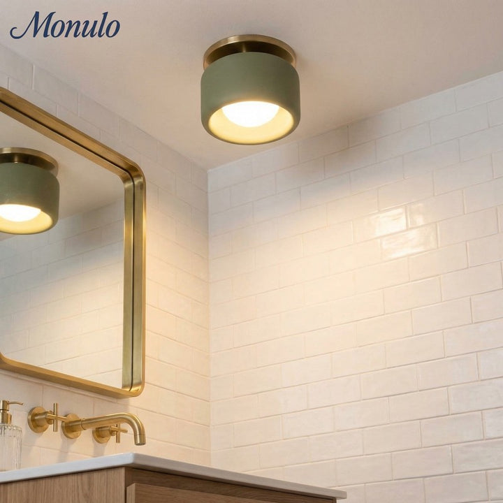 Flush Mount Ceiling Light - Modern Drum Shade