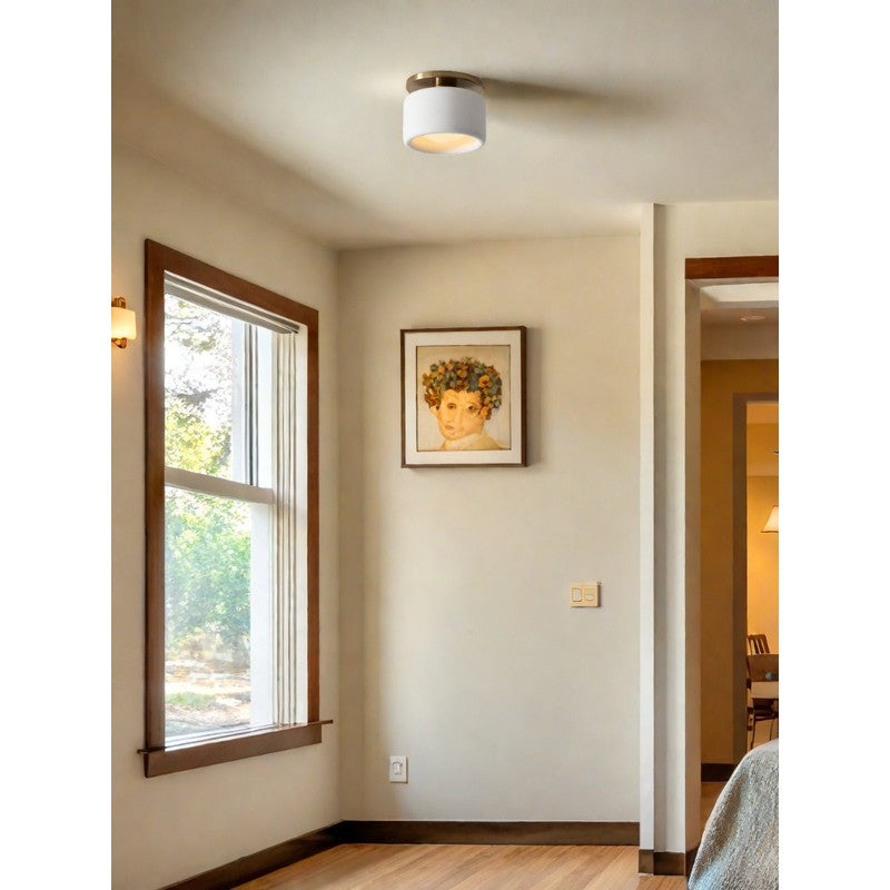 Flush Mount Ceiling Light - Modern Drum Shade