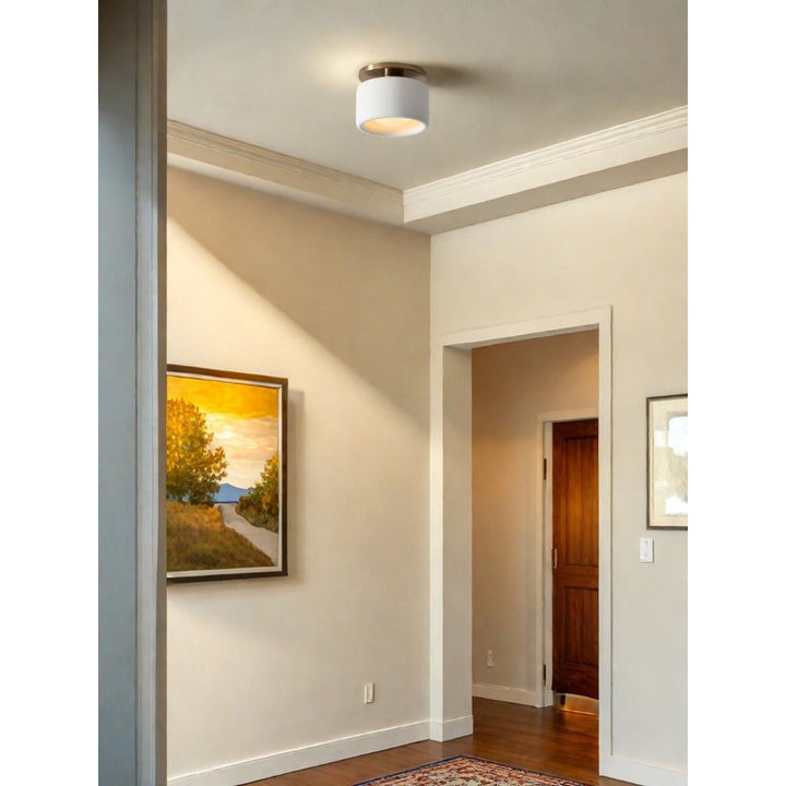 Flush Mount Ceiling Light - Modern Drum Shade