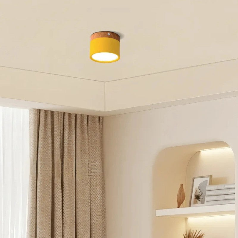 LED Ceiling Light - Cylindrical Flush Mount
