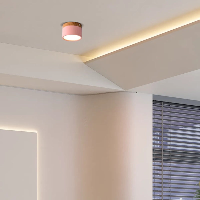 LED Ceiling Light - Cylindrical Flush Mount