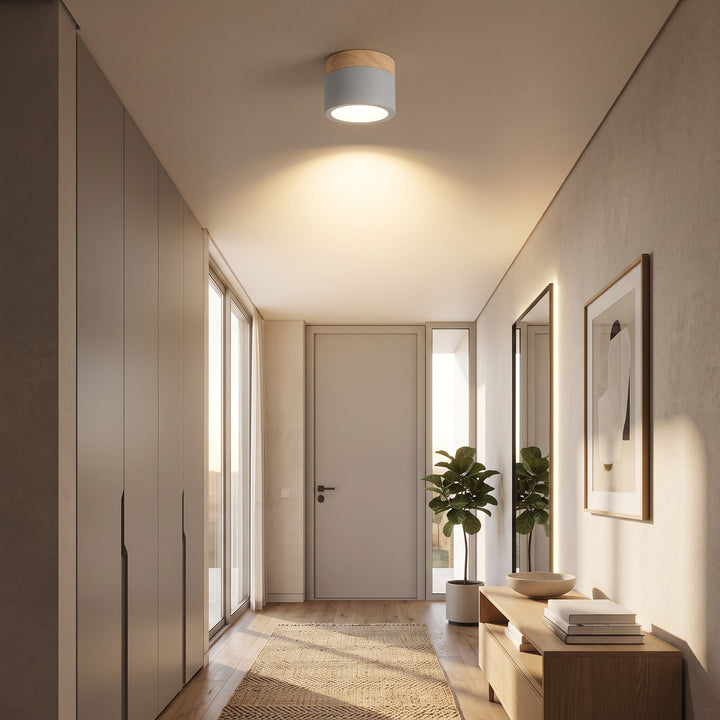 LED Ceiling Light - Cylindrical Flush Mount