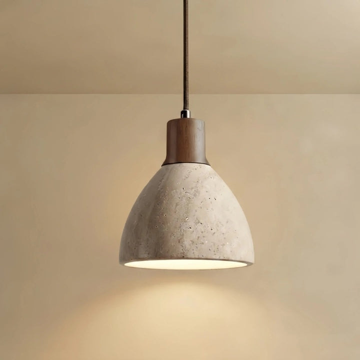 Pendant Light - Dome Shade with Wood Accent