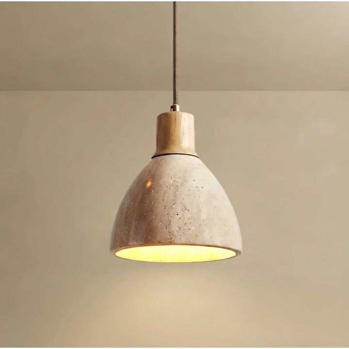 Pendant Light - Dome Shade with Wood Accent