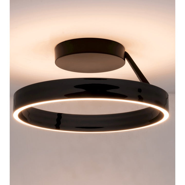 Round Ring LED Ceiling Light Dimmable